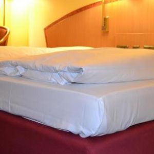 Hotel Tagungshotel Höchster Hof Frankfurt