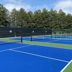 Pickleball courts available at DoubleTree By Hilton Sonoma Wine Country.