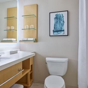 Guest bathroom at Delta Hotels By Marriott Little Rock West.