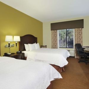 Day use twin room with work desk at Hampton Inn & Suites Conroe - I-45 North.