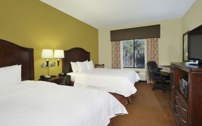 Day use twin room with work desk at Hampton Inn & Suites Conroe - I-45 North.
