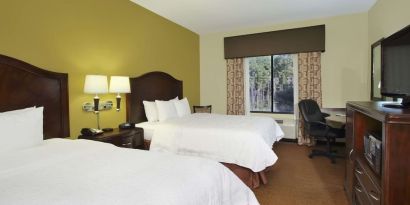 Day use twin room with work desk at Hampton Inn & Suites Conroe - I-45 North.