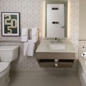 Guest bathroom with shower and tub at Hilton Birmingham At UAB.