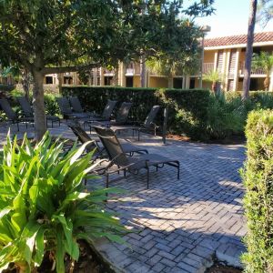 Loungers in the garden of DoubleTree By Hilton Orlando At SeaWorld.