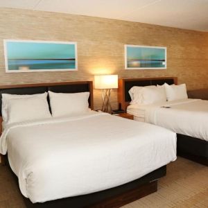 Day use twin room at EnVision Hotel And Conference Center Mansfield Foxboro.