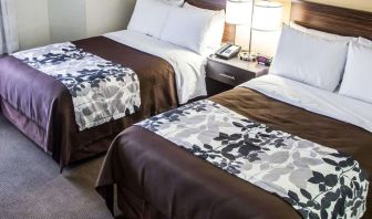 Day use twin room at Sleep Inn Tinley Park.