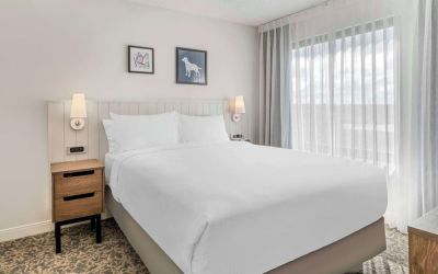 King bed at Sonesta ES Suites San Antonio Downtown Alamo Plaza.