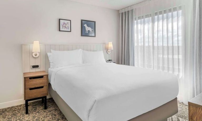 King bed at Sonesta ES Suites San Antonio Downtown Alamo Plaza.