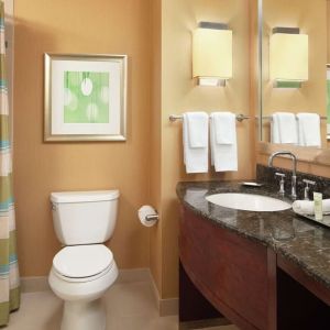 Guest bathroom with shower and tub at Hilton Orlando.