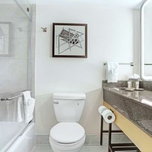 Guest bathroom with shower at Hilton Crystal City At Washington Reagan National Airport.