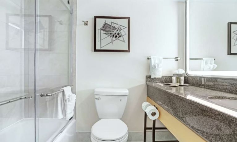 Guest bathroom with shower at Hilton Crystal City At Washington Reagan National Airport.