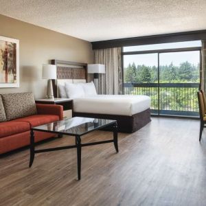 Day use room with natural light at Hilton Bellevue.
