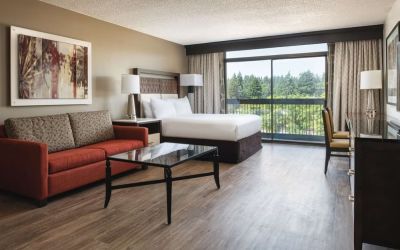 Day use room with natural light at Hilton Bellevue.