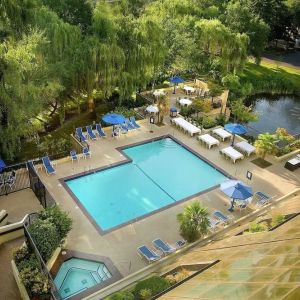 Seasonal outdoor pool and jacuzzi surrounded by sun loungers at Hilton Bellevue.