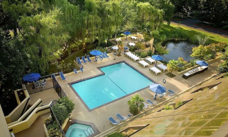 Seasonal outdoor pool and jacuzzi surrounded by sun loungers at Hilton Bellevue.