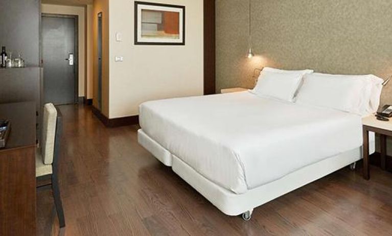 Hotel NH Alicante, Alicante