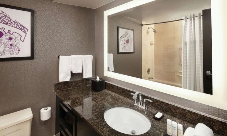 Guest bathroom with shower and tub at Embassy Suites By Hilton Crystal City-National Airport.