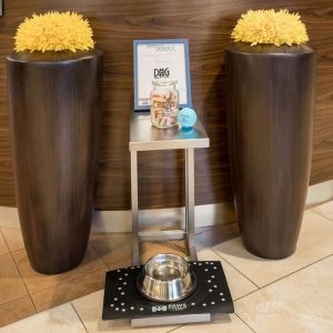 Sonesta Select Detroit Auburn Hills is pet friendly.