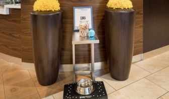 Sonesta Select Detroit Auburn Hills is pet friendly.