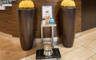 Sonesta Select Detroit Auburn Hills is pet friendly.