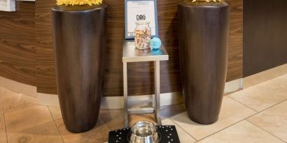 Sonesta Select Detroit Auburn Hills is pet friendly.