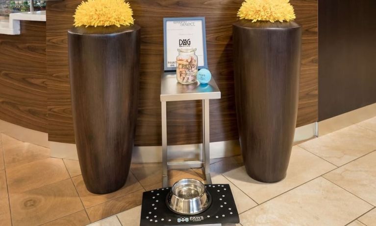 Sonesta Select Detroit Auburn Hills is pet friendly.