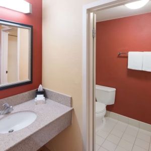 Private guest bathroom with shower at Sonesta Select Detroit Auburn Hills.