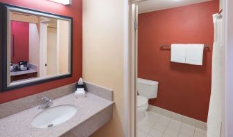Private guest bathroom with shower at Sonesta Select Detroit Auburn Hills.