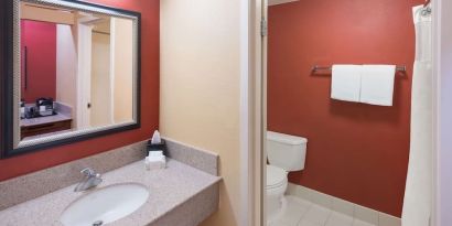 Private guest bathroom with shower at Sonesta Select Detroit Auburn Hills.