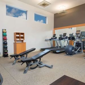 Fitness center at DoubleTree By Hilton Grand Rapids Airport.
