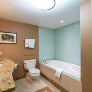 Guest bathroom with shower and tub at DoubleTree By Hilton Grand Rapids Airport.