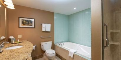 Guest bathroom with shower and tub at DoubleTree By Hilton Grand Rapids Airport.