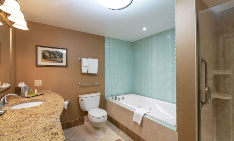 Guest bathroom with shower and tub at DoubleTree By Hilton Grand Rapids Airport.