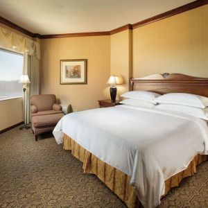 Bright and comfortable hotel room with king size bed and window at DoubleTree By Hilton Lisle-Naperville.