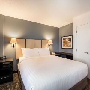 King bed at Sonesta Simply Suites Salt Lake City Airport.