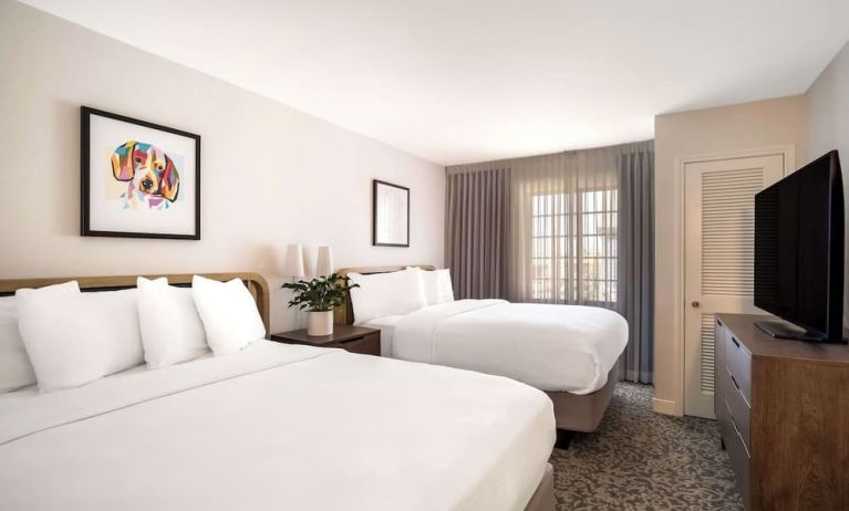 Day use twin room at Sonesta ES Suites Austin The Domain Area.