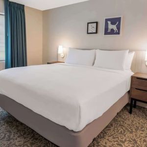 King bed at Sonesta ES Suites Austin The Domain Area.
