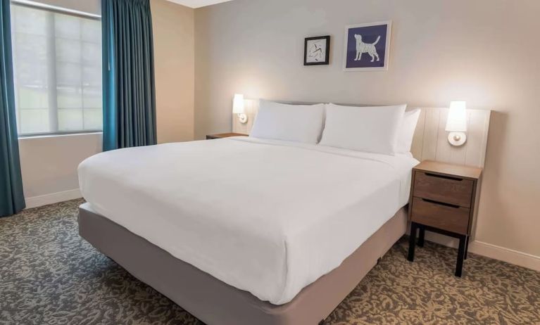 King bed at Sonesta ES Suites Austin The Domain Area.