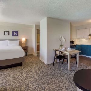 Suite with workspace and in-room kitchen at Sonesta ES Suites Austin The Domain Area.