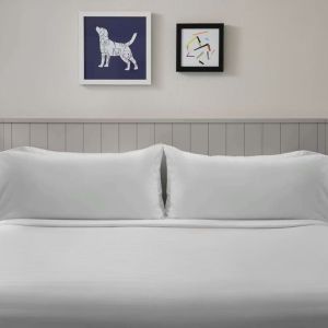 King bed at Sonesta ES Suites Austin The Domain Area.