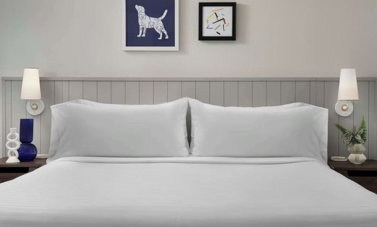 King bed at Sonesta ES Suites Austin The Domain Area.
