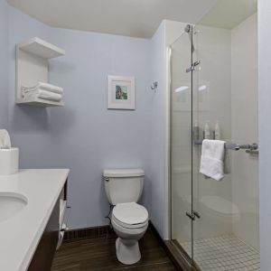 Guest bathroom with shower at Hampton Inn Bloomington.