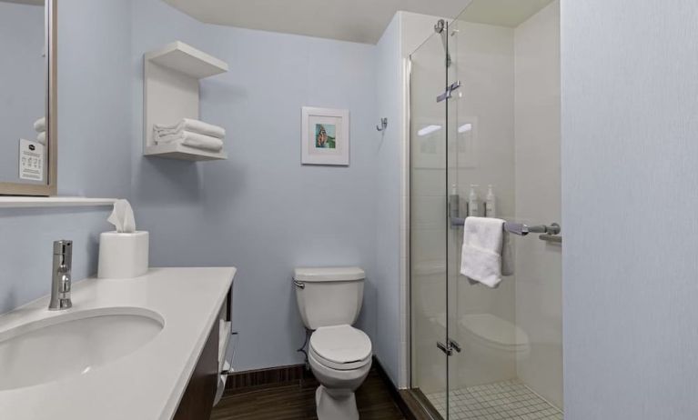 Guest bathroom with shower at Hampton Inn Bloomington.