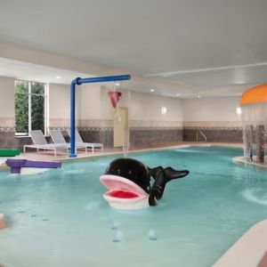 Children's pool at Hilton Garden Inn Fort Worth Medical Center.
