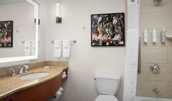 Guest bathroom with shower and tub at Hilton Garden Inn Fort Worth Medical Center.