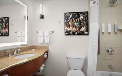Guest bathroom with shower and tub at Hilton Garden Inn Fort Worth Medical Center.