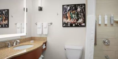 Guest bathroom with shower and tub at Hilton Garden Inn Fort Worth Medical Center.