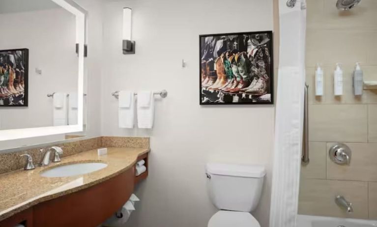 Guest bathroom with shower and tub at Hilton Garden Inn Fort Worth Medical Center.