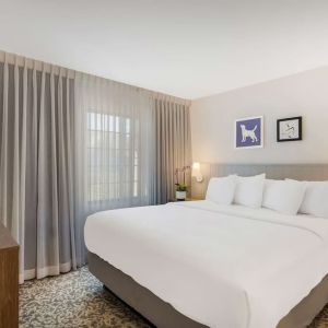 King bed at Sonesta ES Suites Denver South - Park Meadows.