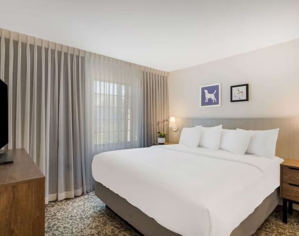 King bed at Sonesta ES Suites Denver South - Park Meadows.